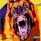 GET EM (feat. Damiko DLA) - Quan the Don313 lyrics