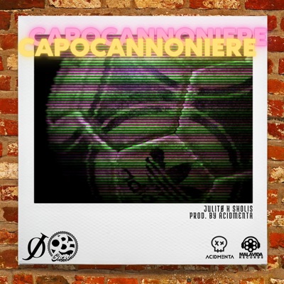 Capocannoniere (feat. Sholis) - Single
