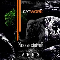 Nereye gidiyor (10Th. Year Collection) [feat. Ares Soysal] - Single - Catwork