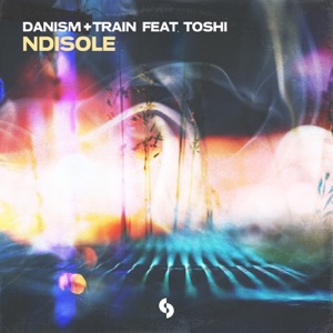 Ndisole (feat. Toshi) - Single