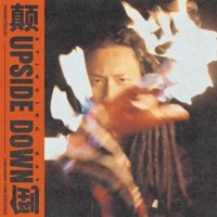 Upside Down - Single - Stinging Ray