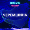 Черемшина - Brevis vocal group