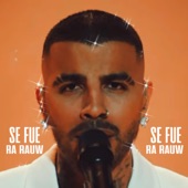 SE FUE artwork