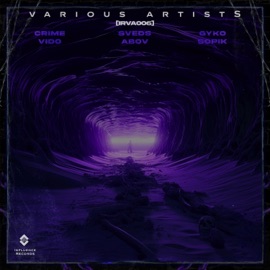 Talk To Me Dirty (feat. INFLUENCE RECORDS) Gyko