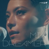 DREAMER artwork