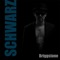 Schwarz - Briggstone lyrics