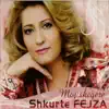 Shkurte Fejza - Gurbetin Mos Lakmoni