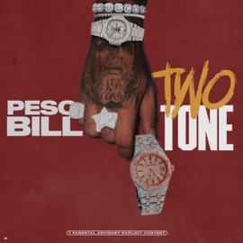 Two Tone Peso Bill