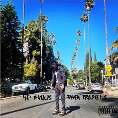 Mo' Bullets Than Problems - EP