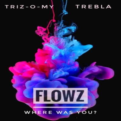 Flowz Freestyle (Where Was You?) (feat. TREBLA) - Single