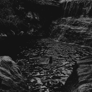 The Search