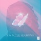 Joy In the Mourning Single