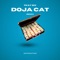 Doja Cat - Tkay 6ix lyrics
