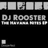DJ Rooster