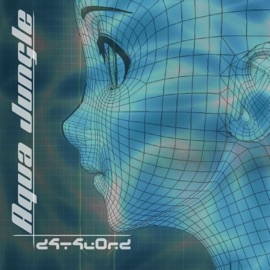 Code Flood (feat. D4T4L0RD) s4dunicorn