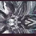 Instrumental 2