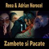 Zambete si Pacate (feat. Adrian Norocel) - Reea