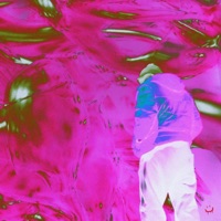 Anita - Single - Jewel$ from the X