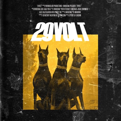 29Volt - Single