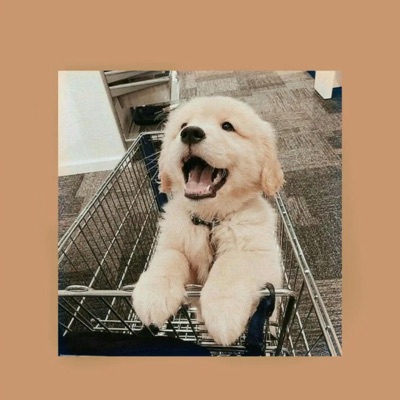 This Is What Falling In Love Feels Like (sped up)