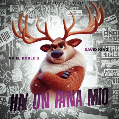 Hay Un Pana Mio (feat. David King HD) - Single