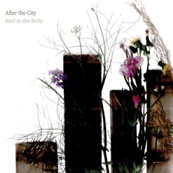 AFTER THE CITY cover art