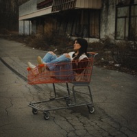 Salvation Army//Hurts To Care - Single - Annamarie Rosanio