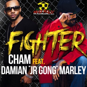 Fighter - Single
