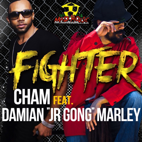 Fighter - Single