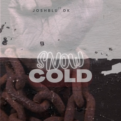 Snow Cold (feat. DK) - Single