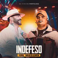Indefeso — Felipão & Tarcísio do Acordeon