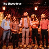 The Sheepdogs - Jesse, Please (Audiotree Live Version)