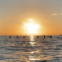 sunrise in LA, Pt. 1 (feat. Kodoku) - Single - Rohan Rali