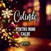 Carmen de la Salciua - Deschide usa crestine (feat. Culita Sterp)