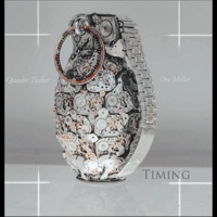 Timing is Everything (feat. Dre Miller) - Single - Qaadir Tudor