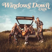 Windows Down artwork