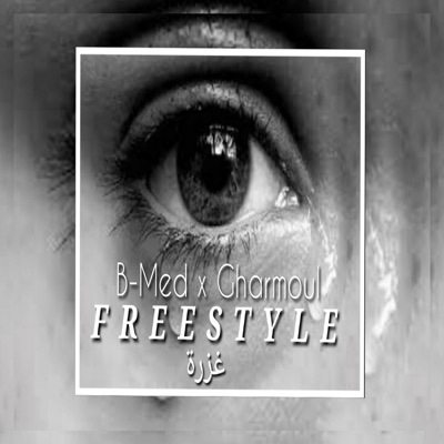 freestyle-غزررة (feat. Gharmoul) - Single