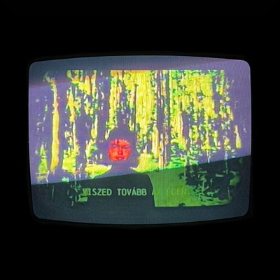 Forgive the Mess - Single