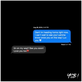 D a N I (feat. Coastside) YSB!