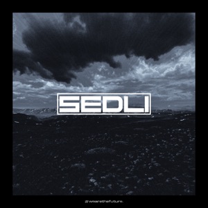Spatial Vision Remixes - Single