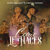 Cómo Le Haces - Single - Lorenzo Mendez & Nuevo Regimen