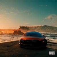 In Your Dreams - Single - Shayne Richard