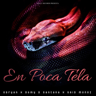 En Poca Tela (feat. Said Muñoz & Obryan) - Single