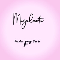 Magulmata (feat. Son B.) - Single - Vicalex