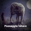 Passaggio lunare (feat. Valentina Musinu) - Single