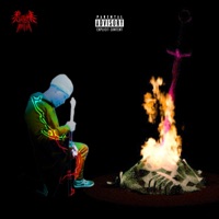 Bonfire of Martians - Shawn Martian