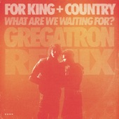 What Are We Waiting for (Gregatron Remix) artwork