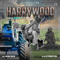 HARRYWOOD - Single - GRARIBAAZ, G STAR (GS) & Insane Muzik