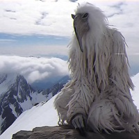 Erosion Bird - Single - LEV1T1CUS