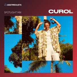 Power In My Soul (feat. 2STRANGE) [Curol Remix] [Mixed] Bhaskar